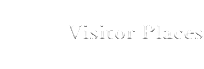 logo-visitor places-111